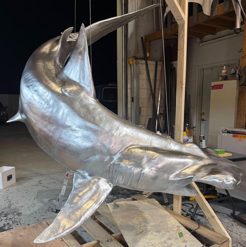 Silver Surfer Shark