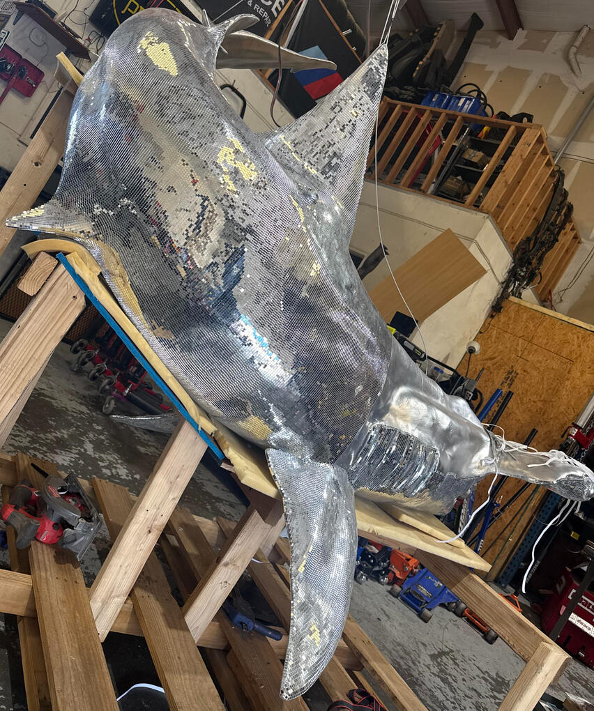 Disco Shark Side